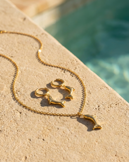 Descendé Dolphin Suit