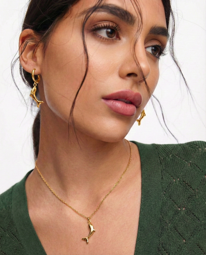 Descendé Dolphin Suit