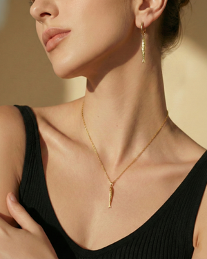 Ichthys Signature Set