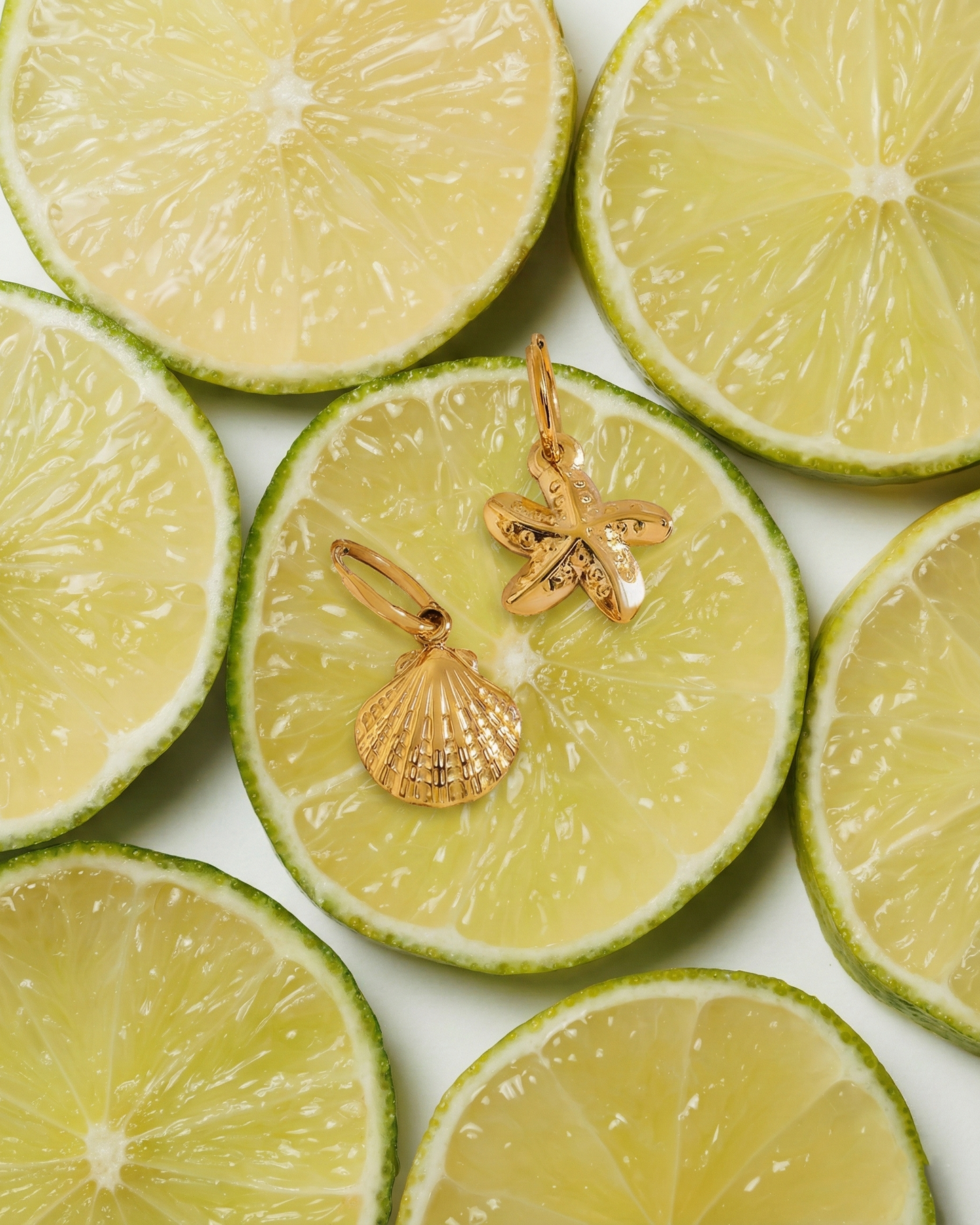 Celeste Shell Earring