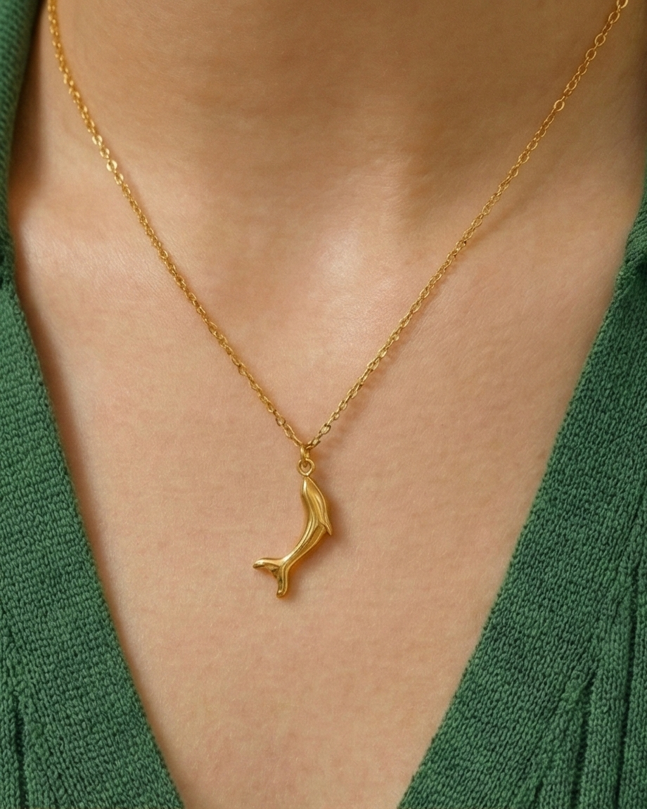 Descendé Dolphin Suit