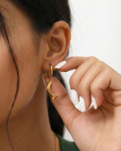 Descendé Dolphin Suit