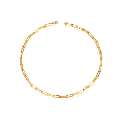 NEXUS CLIP NECKLACE